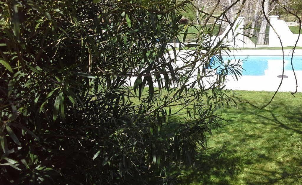 Country House Villas Santarém المظهر الخارجي الصورة